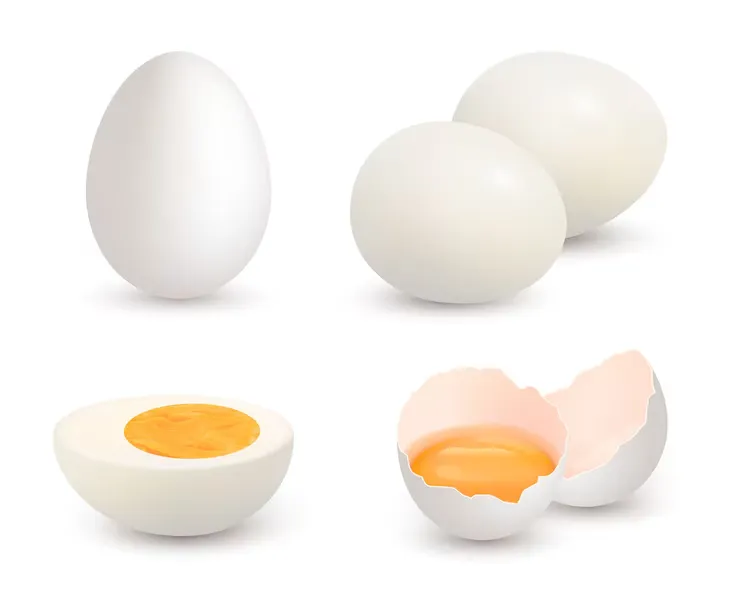 today egg rate eggs 1
