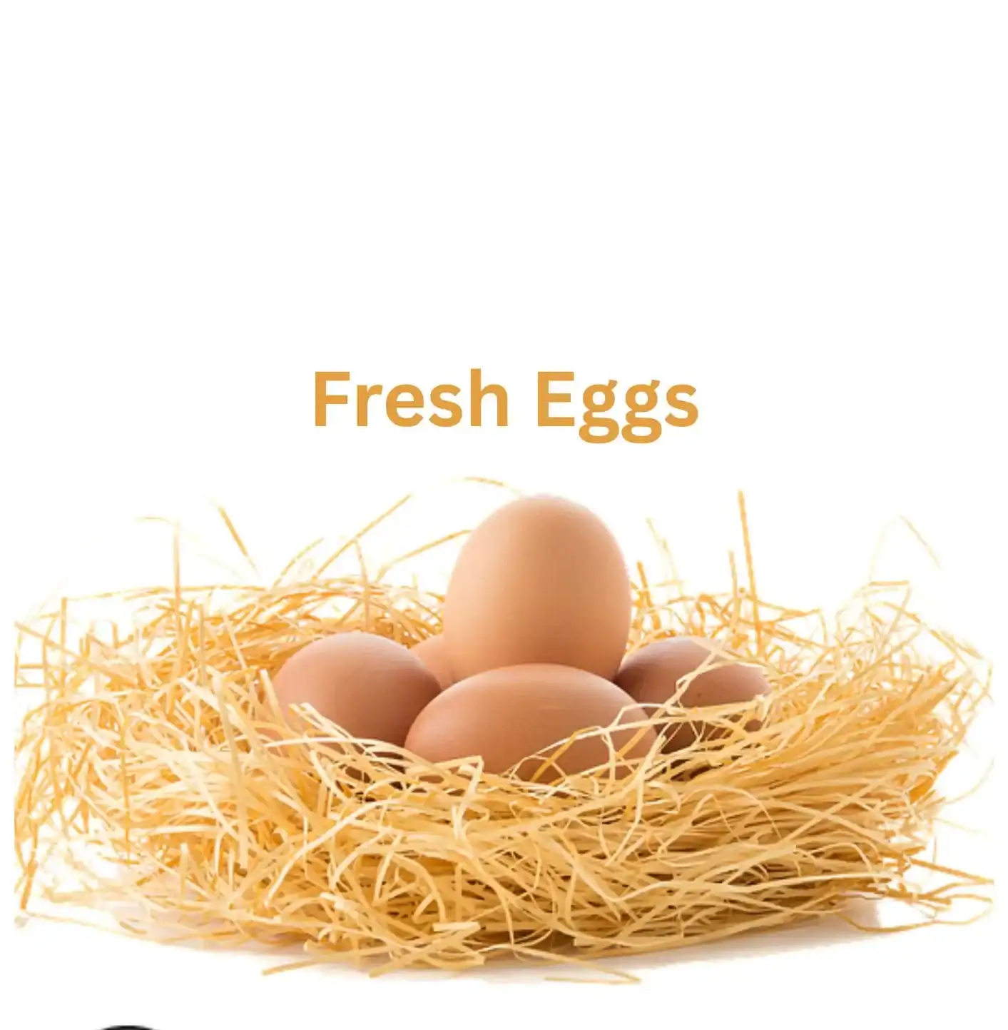 Today Eggs in Mumbai