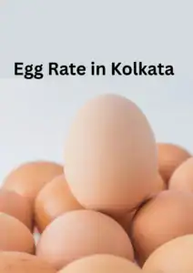 Eggs in Kolkata