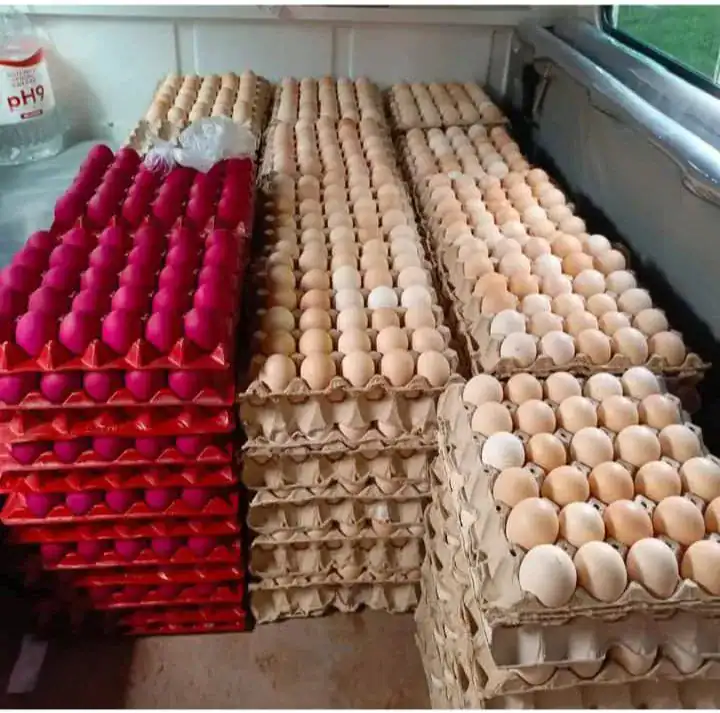 Eggs-Outside-the-Fridge