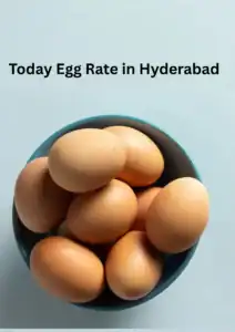 Today Egg Rate in Hyderabad